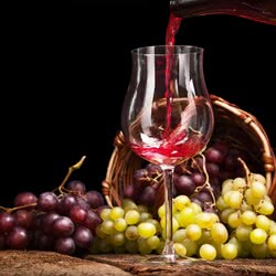 Виноградное вино в домашних условиях Виноградное вино в домашних условиях